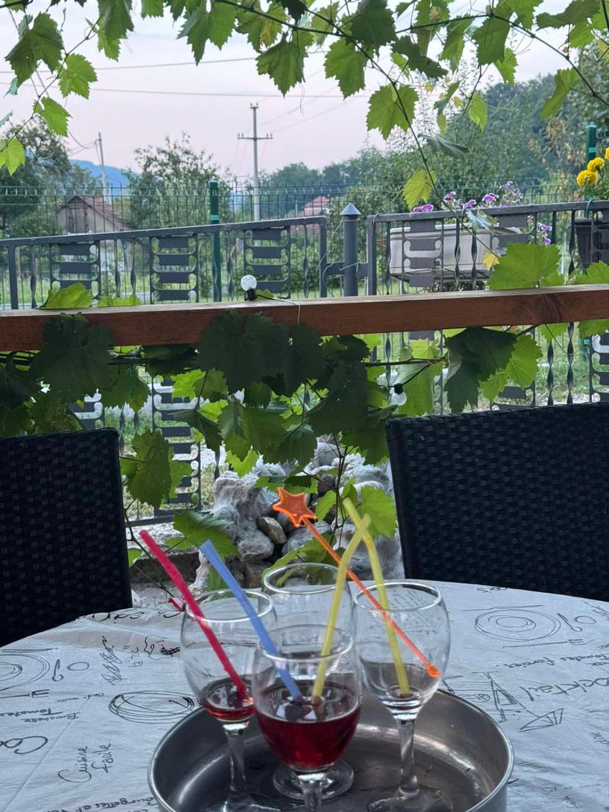 Drinski Odmor ,,mima,, 1 Apartment Perucac